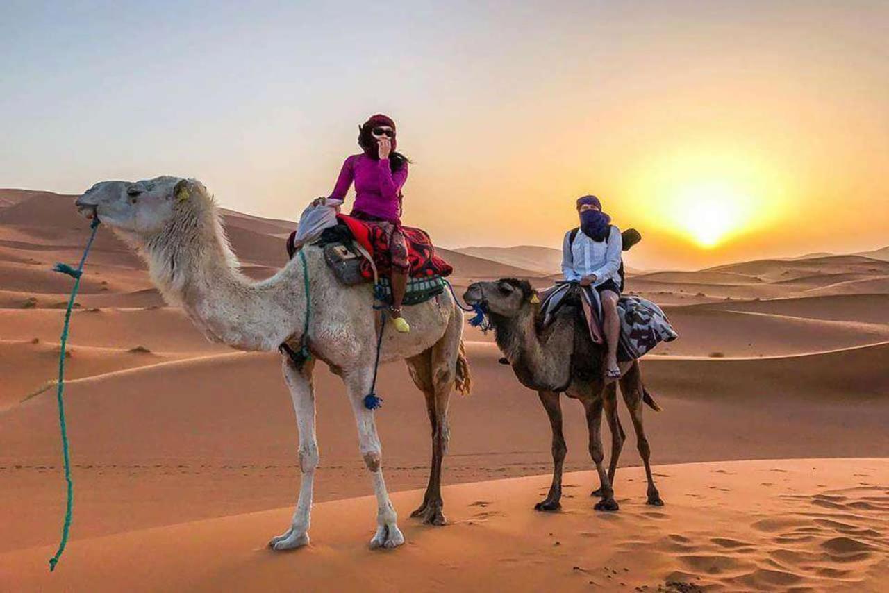 Camp Sahara Dunes Hotell M'Hamid Eksteriør bilde